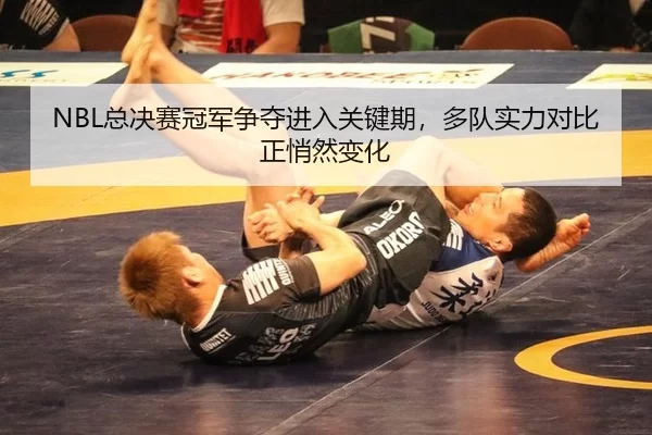 NBL总决赛冠军争夺进入关键期，多队实力对比正悄然变化